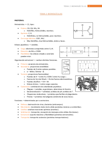 tema-2.pdf