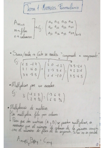 Tema-1-Mates-Cv.pdf