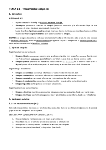 TEMA-14-Transmision-sinaptica.pdf