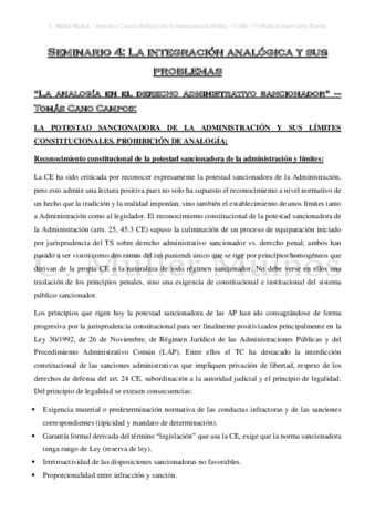 Seminario-4-La-integracion-analogica-y-sus-problemas.pdf