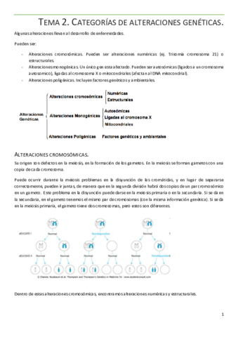 Tema-2.pdf