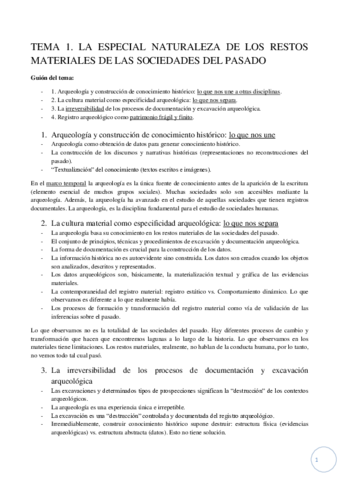 Resistro-arqueologico-2o.pdf