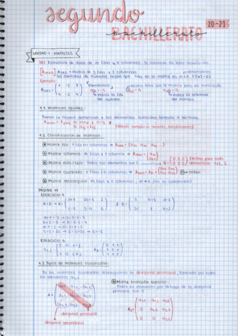 U1. Matrices.pdf