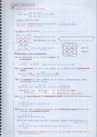 U2. Determinantes.pdf