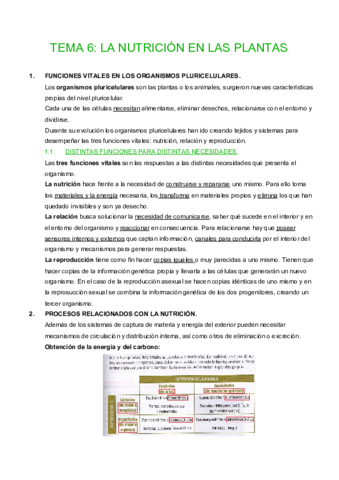 TEMA-6.pdf