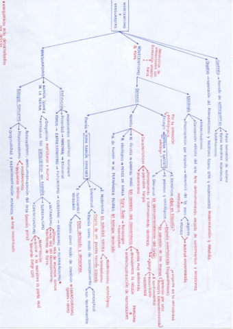 Novecentismo-y-vanguardias.pdf
