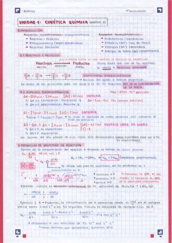 Cinetica-quimica.pdf