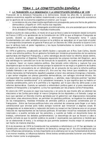 TODOS-LOS-APUNTES-DE-CONSTI-II.pdf