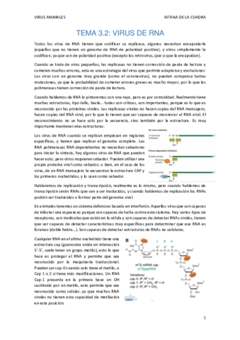 virus-RNA.pdf