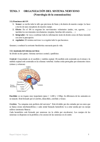 tema-3-fisiopatologia.pdf