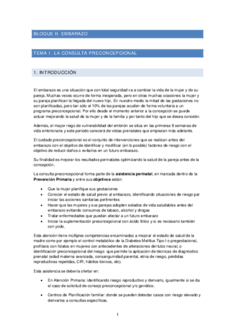 Miniatura del documento TEMA-1.pdf