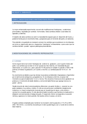 Miniatura del documento TEMA-2.pdf