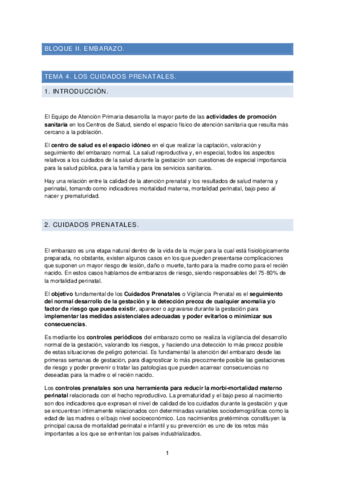Miniatura del documento TEMA-4.pdf