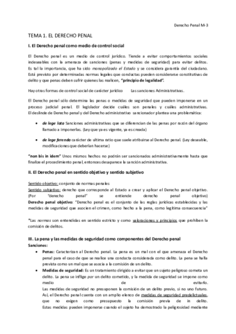 Apuntes Derecho Penal I.pdf