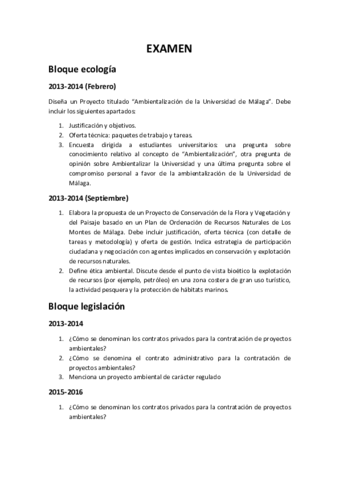 EXAMEN-Proyectos.pdf