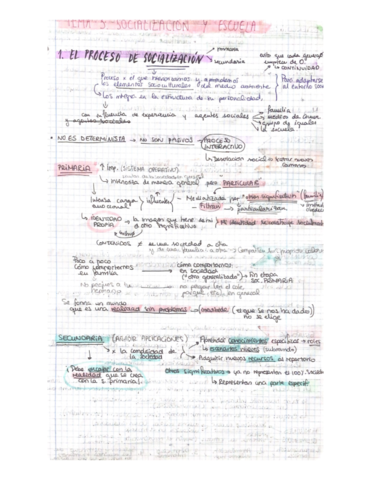 SOCIOLOGIA-Tema-3.pdf