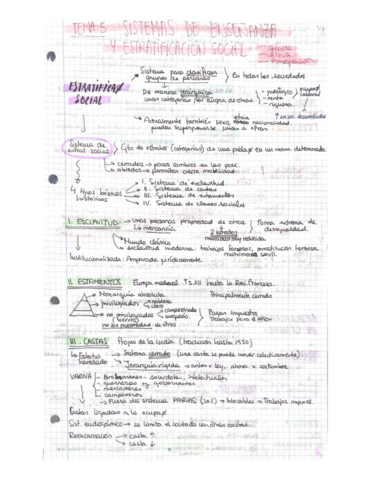SOCIOLOGIA-Tema-5.pdf