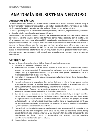 ANATOMIA-DEL-SISTEMA-NERVIOSO.pdf