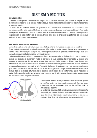 SISTEMA-MOTOR.pdf