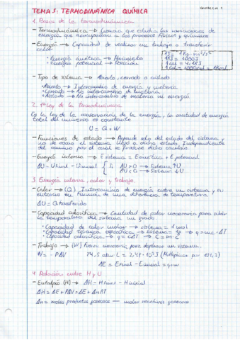 Termodinamica-quimica.pdf