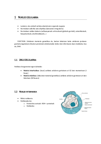 9.pdf