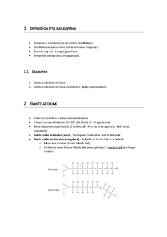 5.pdf