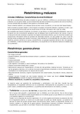 Tema 16 (2).pdf