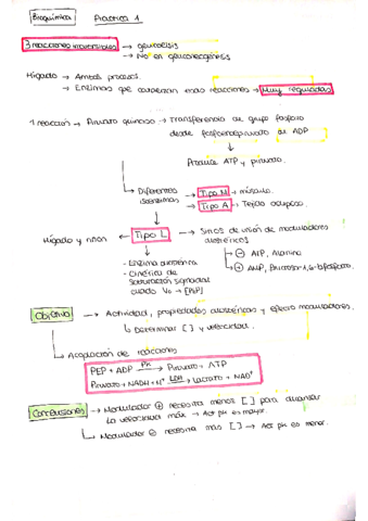 apuntes-practicas-bioquimica-II.pdf