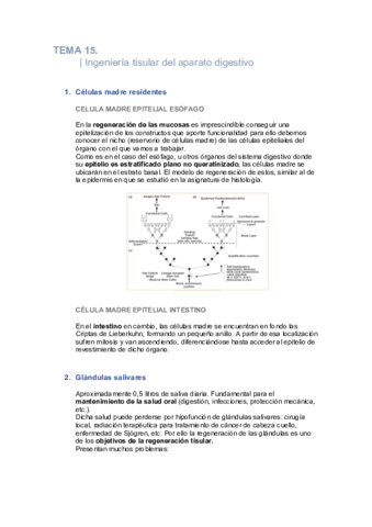 Tema-15-Biomedicina.pdf