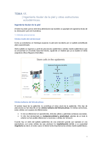 Biomedicina-T17.pdf