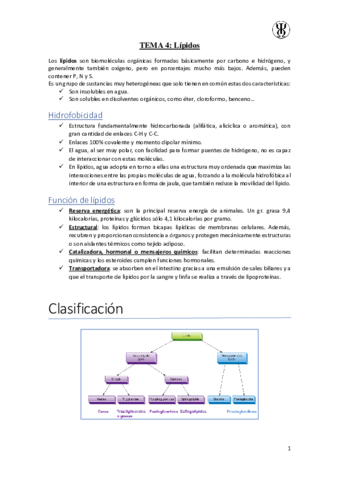 T4Lipidos.pdf