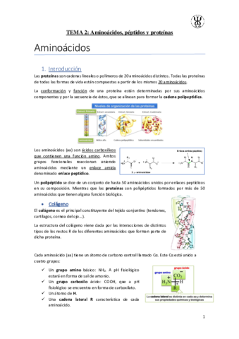 T2Aminoacidos-y-peptidos.pdf