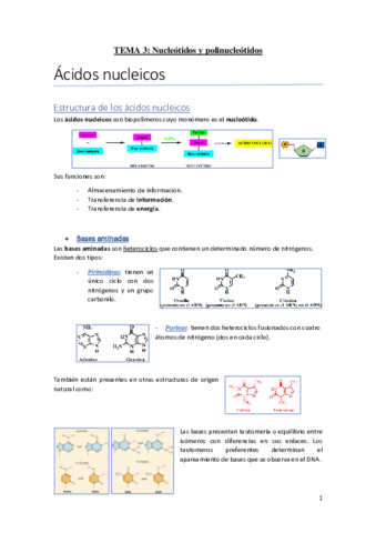 T3Nucleotidos-y-polinucleotidos.pdf