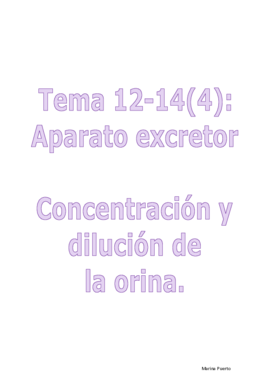 Fisio t12-14 (4).pdf