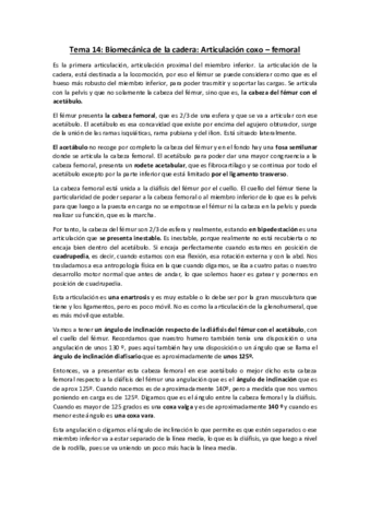 Tema-14-biomecanica-de-la-cadera.pdf