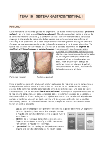 TEMA-15-anatomia.pdf