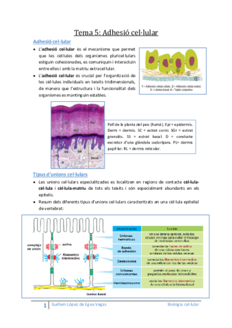 Tema 5 Adhesió cel·lular.pdf