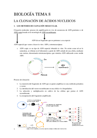 Tema 8 Biología Molecular y Citogenética.pdf