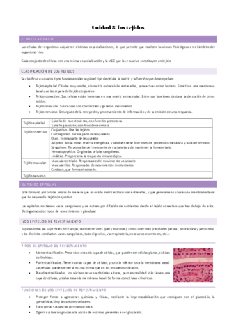Unidad-3-FISIO-DEF.pdf