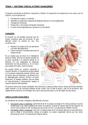 Anatomia-Medicina-I-2020-2021.pdf