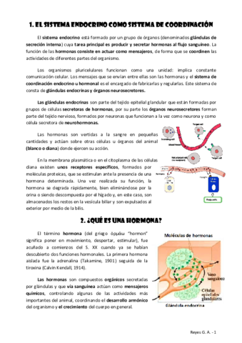 TEMA-7.pdf