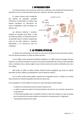 TEMA-1.pdf