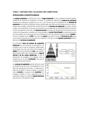 Produccion-Audiovisual.pdf