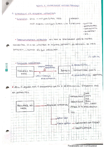 tema-1-nocions-basiques.pdf