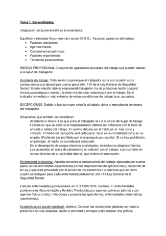 Teoria-Seguridad-y-Salud-DCS.pdf