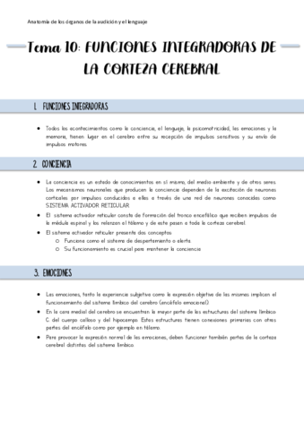 Resumen-Tema-10.pdf