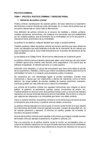 POLITICA-CRIMINAL-CASTELLANO.pdf