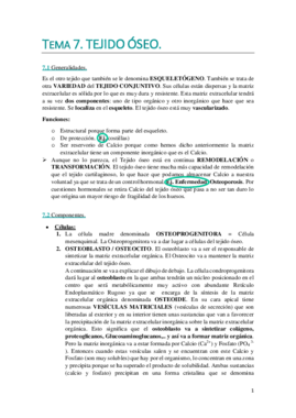 Tema 7. WUOLAH DEFINITIVO.pdf