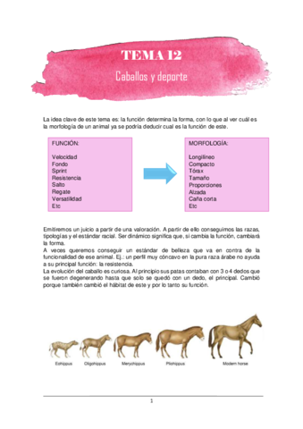 Bloque-caballos-y-deporte.pdf