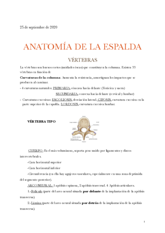 temas-2-y-3-espalda-.pdf